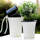 ISO9001 125mm Smart Herb Monstera Tự tưới Chậu trồng trong nhà