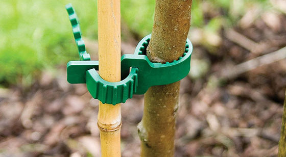 Dây buộc cây cao su mềm 24cm vườn Brimmy có thể điều chỉnh